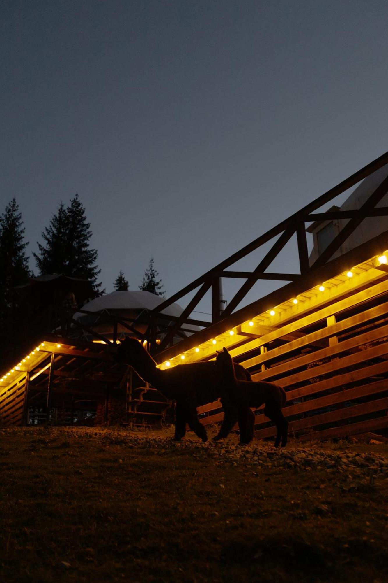 Gm Eco Bubble Holiday home