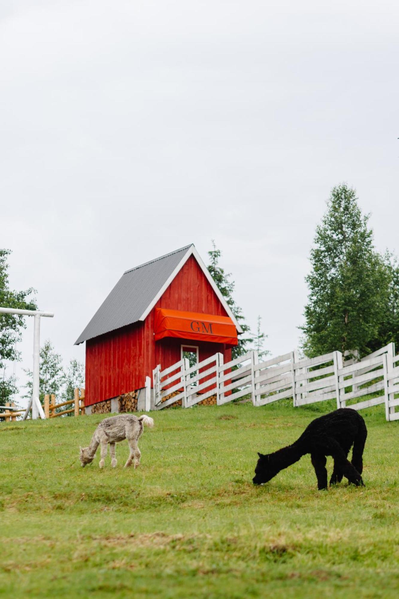 Gm Eco Bubble Holiday home Yablunytsya