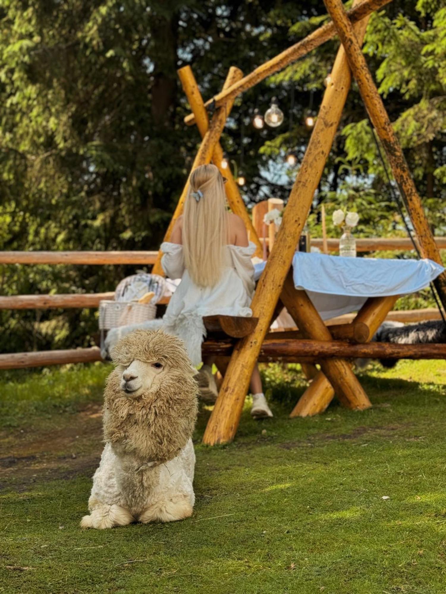 Holiday home Gm Eco Bubble Yablunytsya