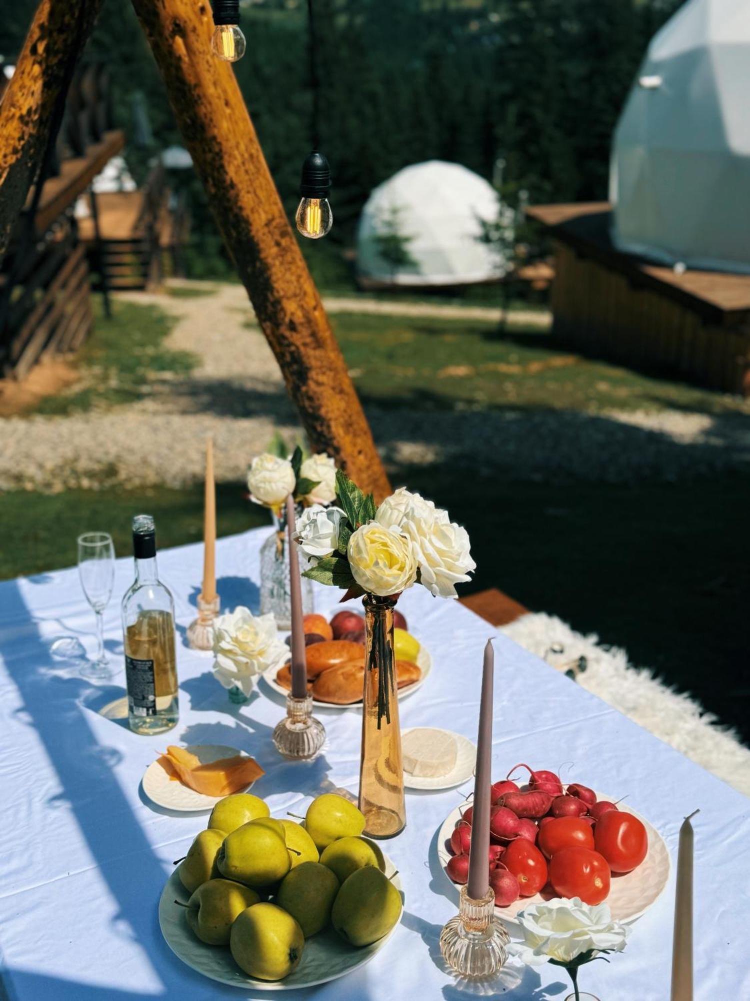 Holiday home Gm Eco Bubble *