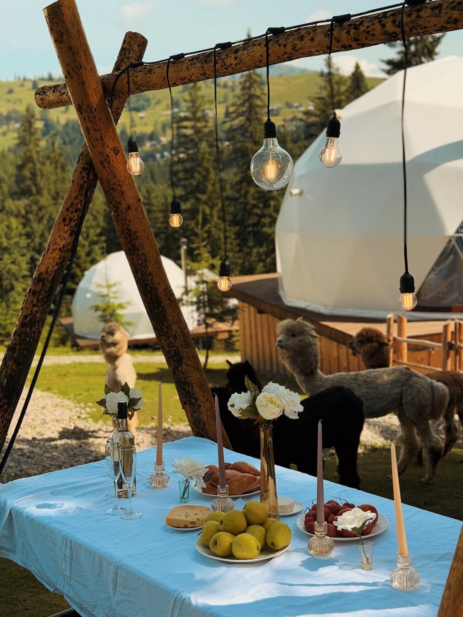 Gm Eco Bubble Holiday home Yablunytsya